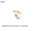 3北师大版数学八年级下册第三章图形的平移及旋转第二节图形的旋转（1）PPT课件