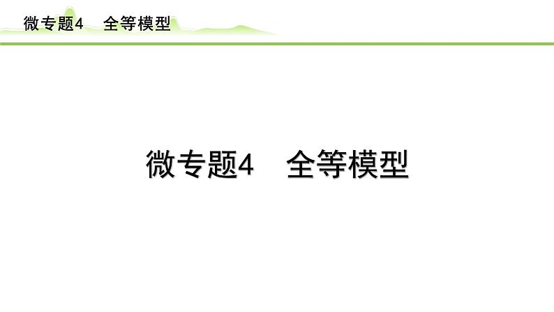 2024年中考数学复习课件---微专题4  全等模型01