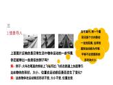 3.1.1 平移的认识与性质 北师大版八年级数学下册课件