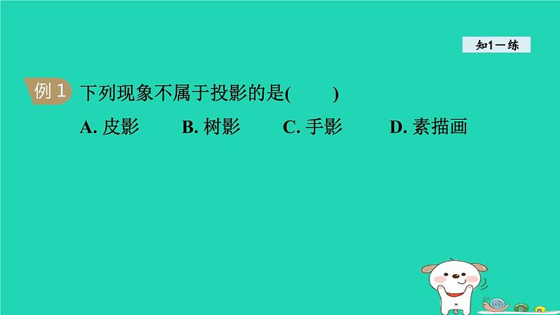 25.1投影课件2023-2024+学年沪科版+九年级数学下册第6页