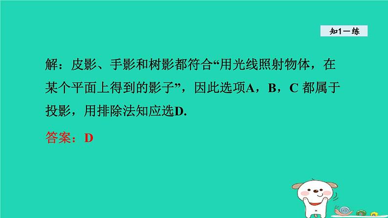 25.1投影课件2023-2024+学年沪科版+九年级数学下册第8页