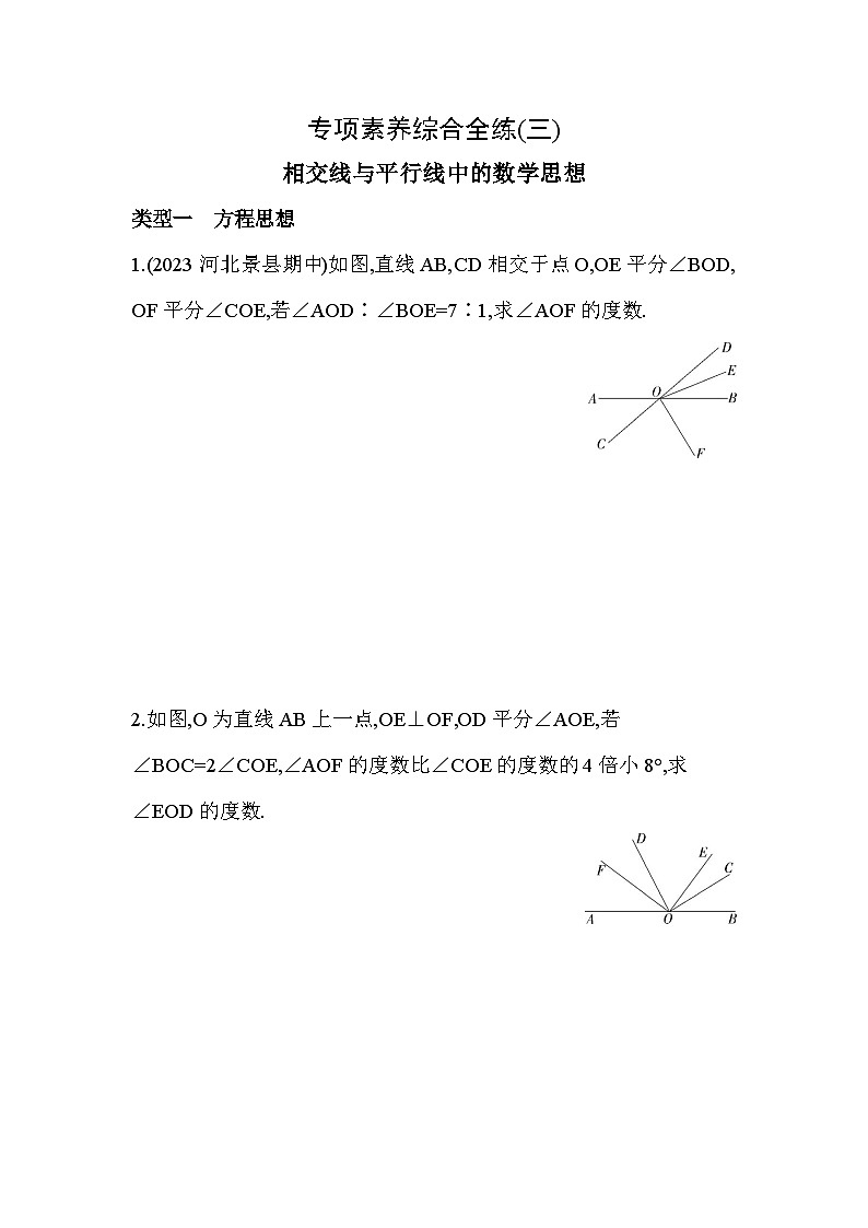 03-专项素养综合全练（三）相交线与平行线中的数学思想--2024年冀教版数学七年级下册精品同步练习第1页