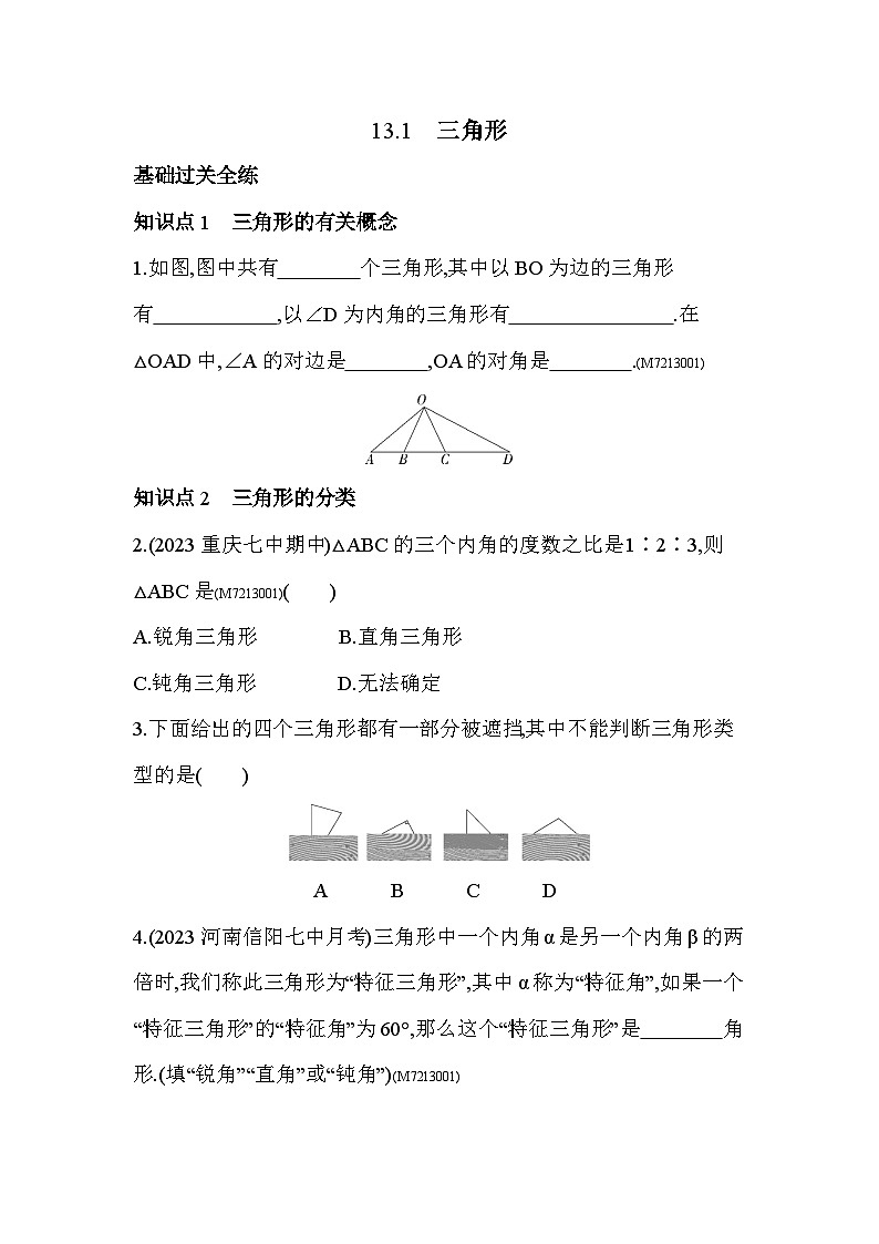 13.1　三角形--2024年青岛版数学七年级下册精品同步练习02