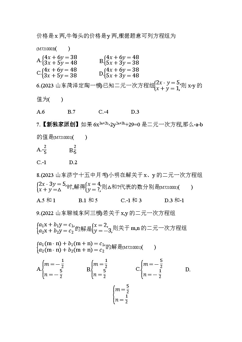 第10章　一次方程组综合检测--2024年青岛版数学七年级下册精品同步练习02