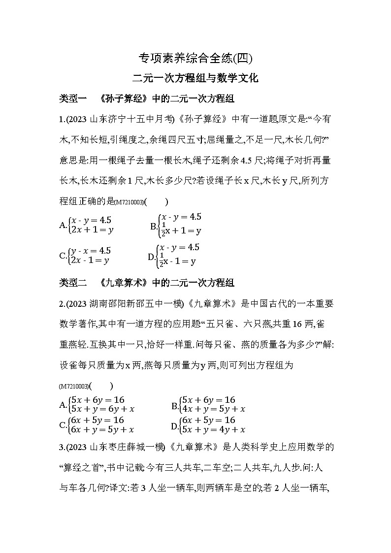 04-专项素养综合全练(四)二元一次方程组与数学文化--2024年青岛版数学七年级下册精品同步练习01