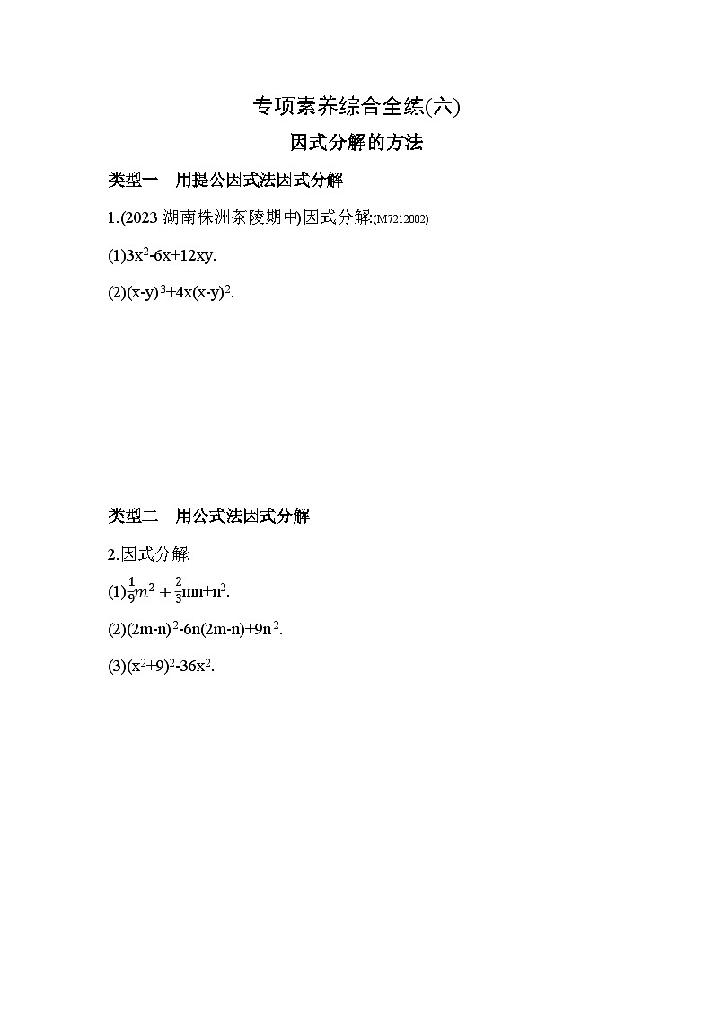 06-专项素养综合全练(六)因式分解的方法--2024年青岛版数学七年级下册精品同步练习第1页