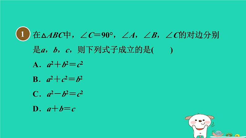 安徽专版2024春八年级数学下册第18章勾股定理18.1勾股定理1认识勾股定理作业课件新版沪科版第3页