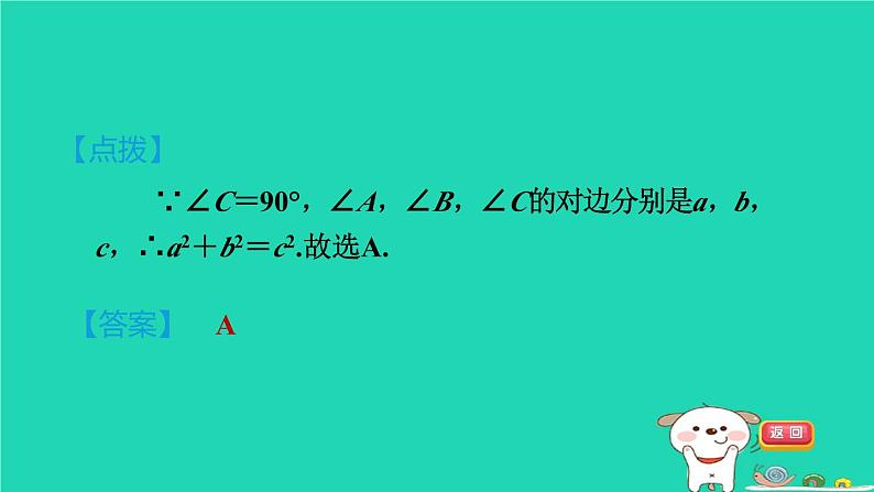 安徽专版2024春八年级数学下册第18章勾股定理18.1勾股定理1认识勾股定理作业课件新版沪科版第4页