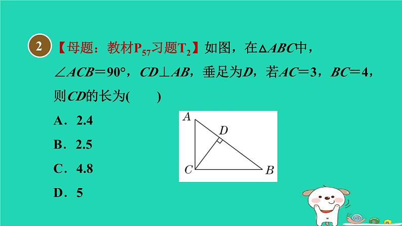 安徽专版2024春八年级数学下册第18章勾股定理18.1勾股定理1认识勾股定理作业课件新版沪科版第5页