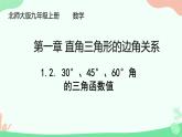 1.2.+30°、45°、60°角的三角函数值+课件2023—2024学年北师大版数学九年级下册