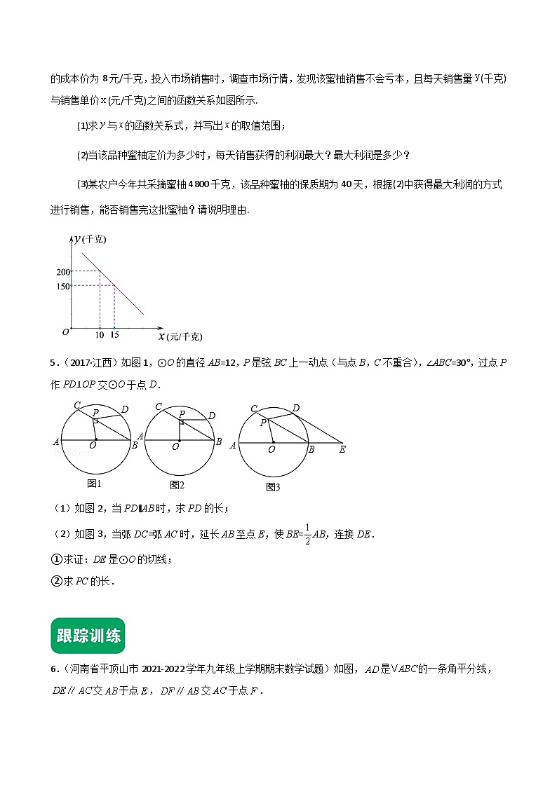 2024年中考数学冲刺挑战压轴题专题汇编(江西专用)03挑战压轴题(解答题一)(原卷版+解析)第3页