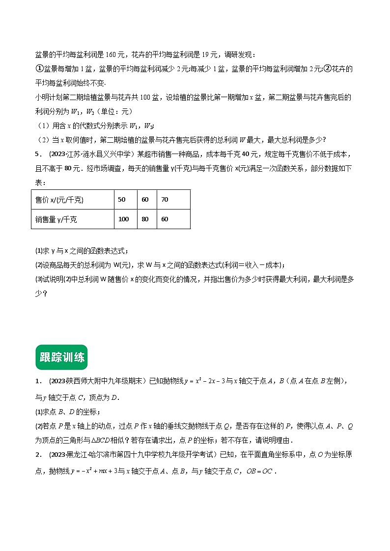 2024年中考数学冲刺挑战压轴题专题汇编(安徽卷)04挑战压轴题(解答题二)(原卷版+解析)第2页