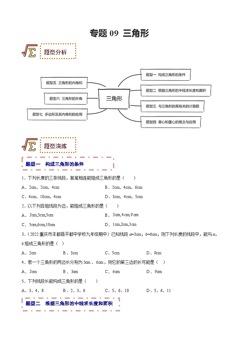 中考数学一轮复习题型归纳专练专题09 三角形（原卷版） 第1页