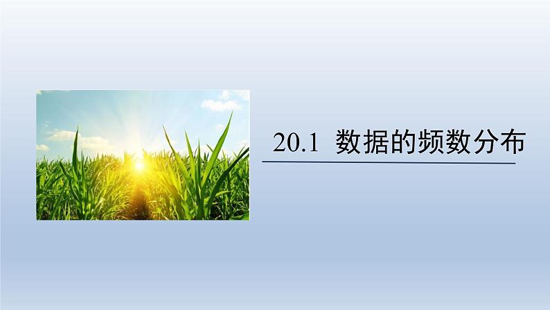 2024年八下数学第20章数据的初步分析20.1数据的频数分布上课课件（沪科版）第1页