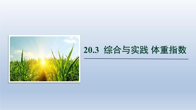 2024年八下数学第20章数据的初步分析20.3综合与实践体重指数上课课件（沪科版）01