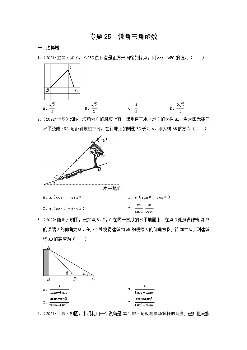 专题25  锐角三角函数（原卷版）第1页
