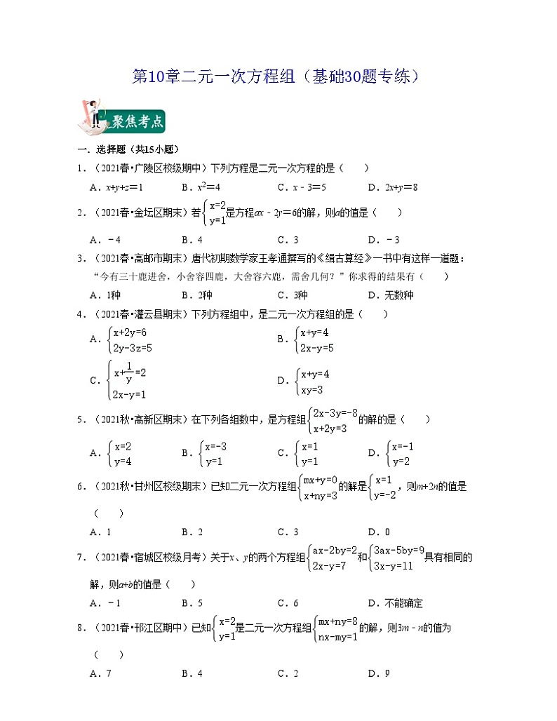 第10章 二元一次方程组（基础30题专练）-2023-2024学年七年级数学下学期考试满分全攻略（苏科版）01