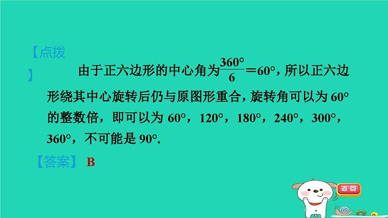 2024九年级数学下册第29章直线与圆的位置关系29.5正多边形与圆习题课件新版冀教版第3页