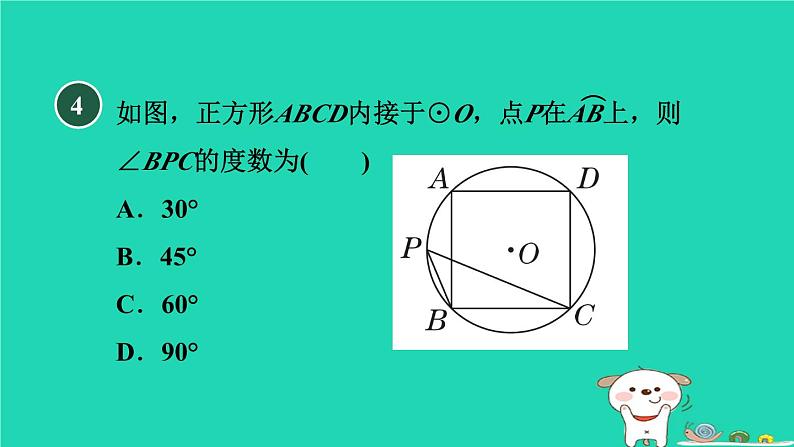 2024九年级数学下册第29章直线与圆的位置关系集训课堂测素质与圆有关的计算习题课件新版冀教版第6页