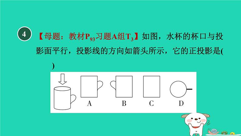 2024九年级数学下册第32章投影与视图32.1投影2正投影习题课件新版冀教版05