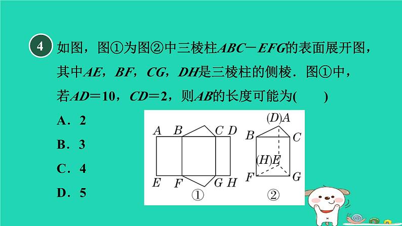 2024九年级数学下册第32章投影与视图32.2视图2直棱柱和圆锥的侧面展开图习题课件新版冀教版05