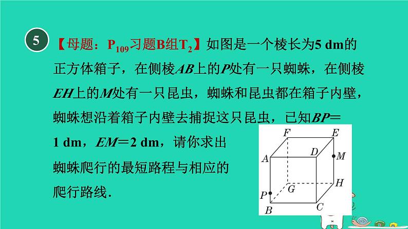 2024九年级数学下册第32章投影与视图32.2视图2直棱柱和圆锥的侧面展开图习题课件新版冀教版08