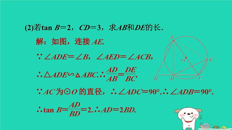 2024九年级数学下册提练第3招圆中常用的作辅助线的八种方法习题课件新版冀教版第8页