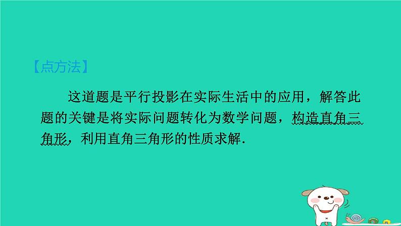 2024九年级数学下册提练第14招投影规律在实际问题中的应用习题课件新版冀教版第5页