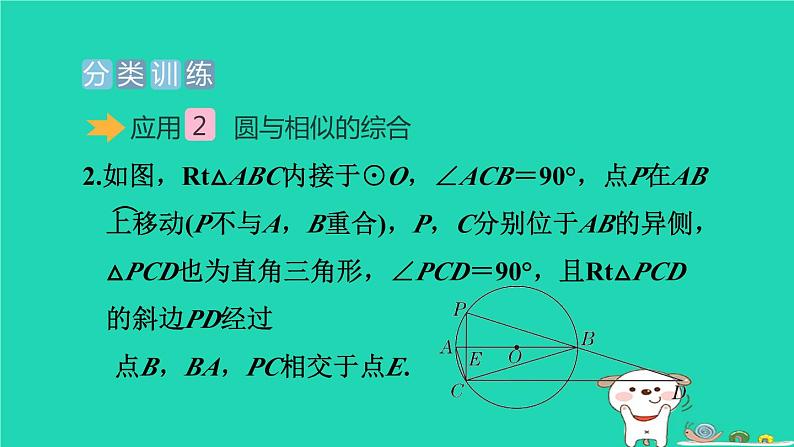 2024九年级数学下册提练第4招圆与学科内知识的综合应用习题课件新版冀教版第7页