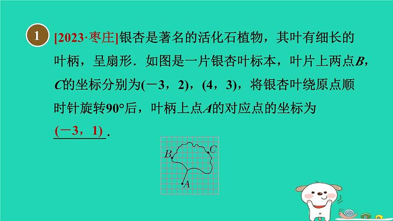 2024八年级数学下册第19章平面直角坐标系全章热门考点整合应用习题课件新版冀教版02