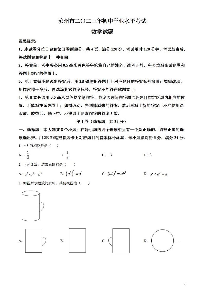 2023年山东省滨州市中考数学真题试卷01
