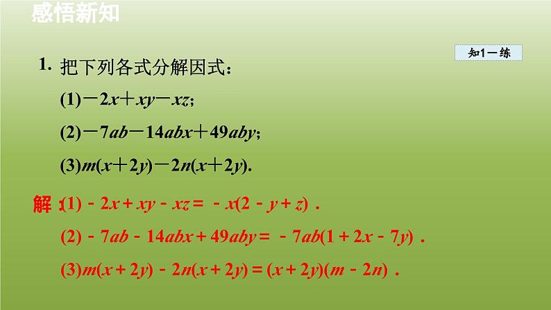 2024年七年级数学下册第11章因式分解11.2提公因式法2变形后提公因式分解因式授课课件新版冀教版06