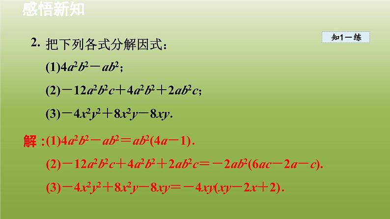 2024年七年级数学下册第11章因式分解11.2提公因式法2变形后提公因式分解因式授课课件新版冀教版07