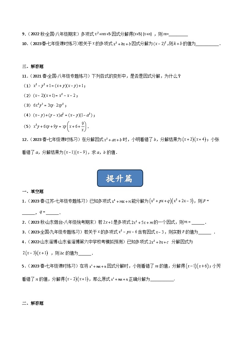 2023年中考数学压轴真题汇编(全国通用)4.1因式分解(分层练习)(原卷版+解析)02