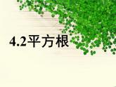 4.2 平方根課件PPT