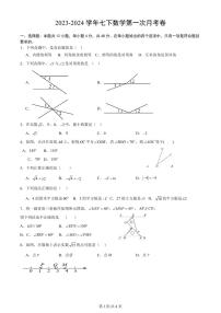 山东省德州市禹城市张庄中学2023-2024学年下学期3月份月考检测七年级数学试题