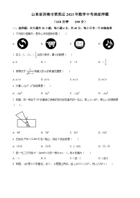 2023年山东省济南市莱芜区数学中考模拟预测题（原卷版+解析版）