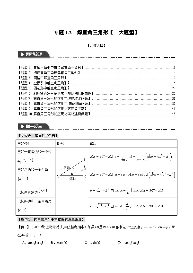 中考数学一轮复习专题1.2 解直角三角形【十大题型】（举一反三）（北师大版）（解析版）01