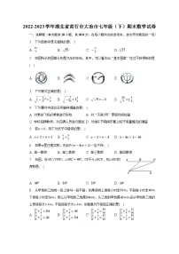 湖北省黄石市大冶市2022-2023学年七年级下学期期末考试数学试卷(含解析)