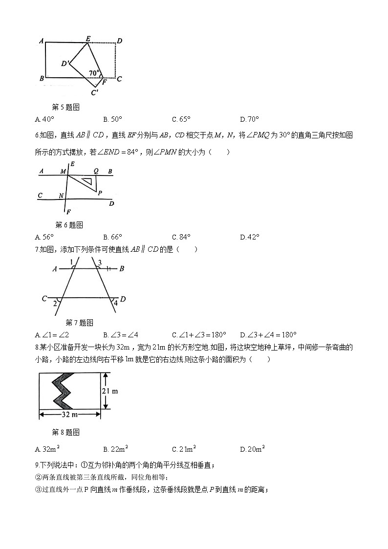 甘肃省陇南市成县2023-2024学年七年级下学期第一次月考数学试题02