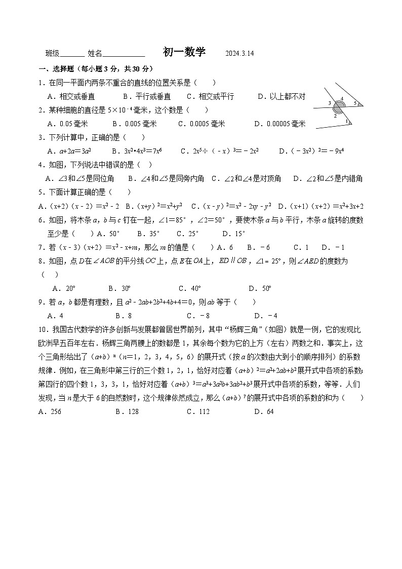 江苏省江阴市文林中学2023-2024学年七年级下学期3月限时作业数学试题01