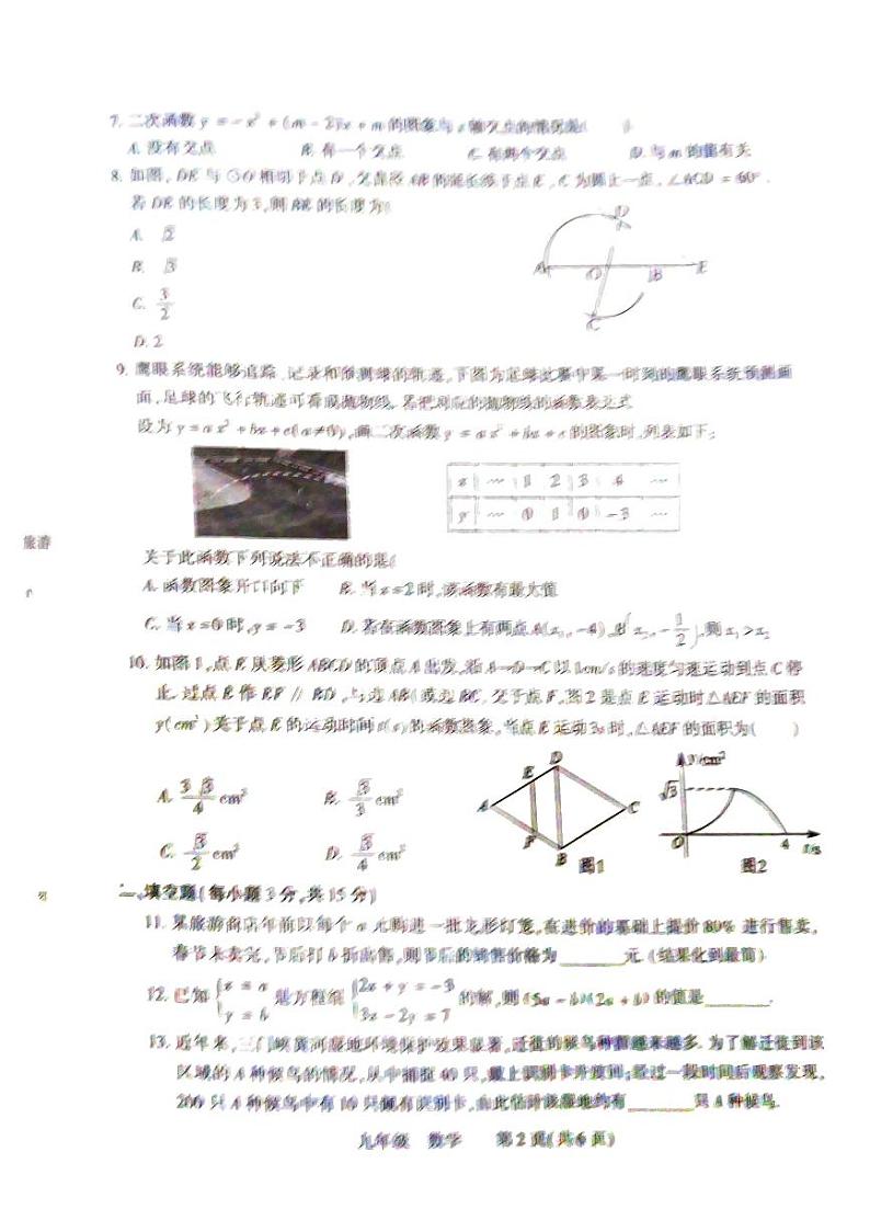 2024年河南省洛阳市伊川县九年级中考一模数学试题第2页