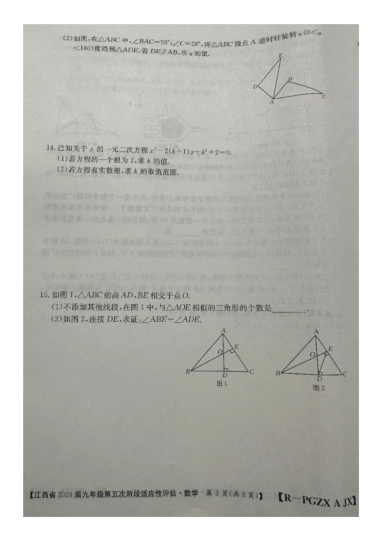江西省赣州市大余县部分学校联考2023-2024学年九年级下学期3月月考数学试题第3页