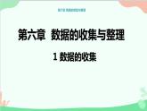 北師大版數(shù)學(xué)七年級(jí)上冊(cè) 6.1 數(shù)據(jù)的收集課件