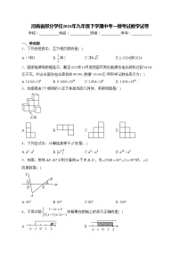 河南省部分学校2024年九年级下学期中考一模考试数学试卷(含答案)