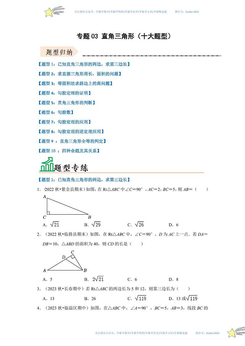专题03 直角三角形（十大题型）（题型专练）（原卷版）第1页
