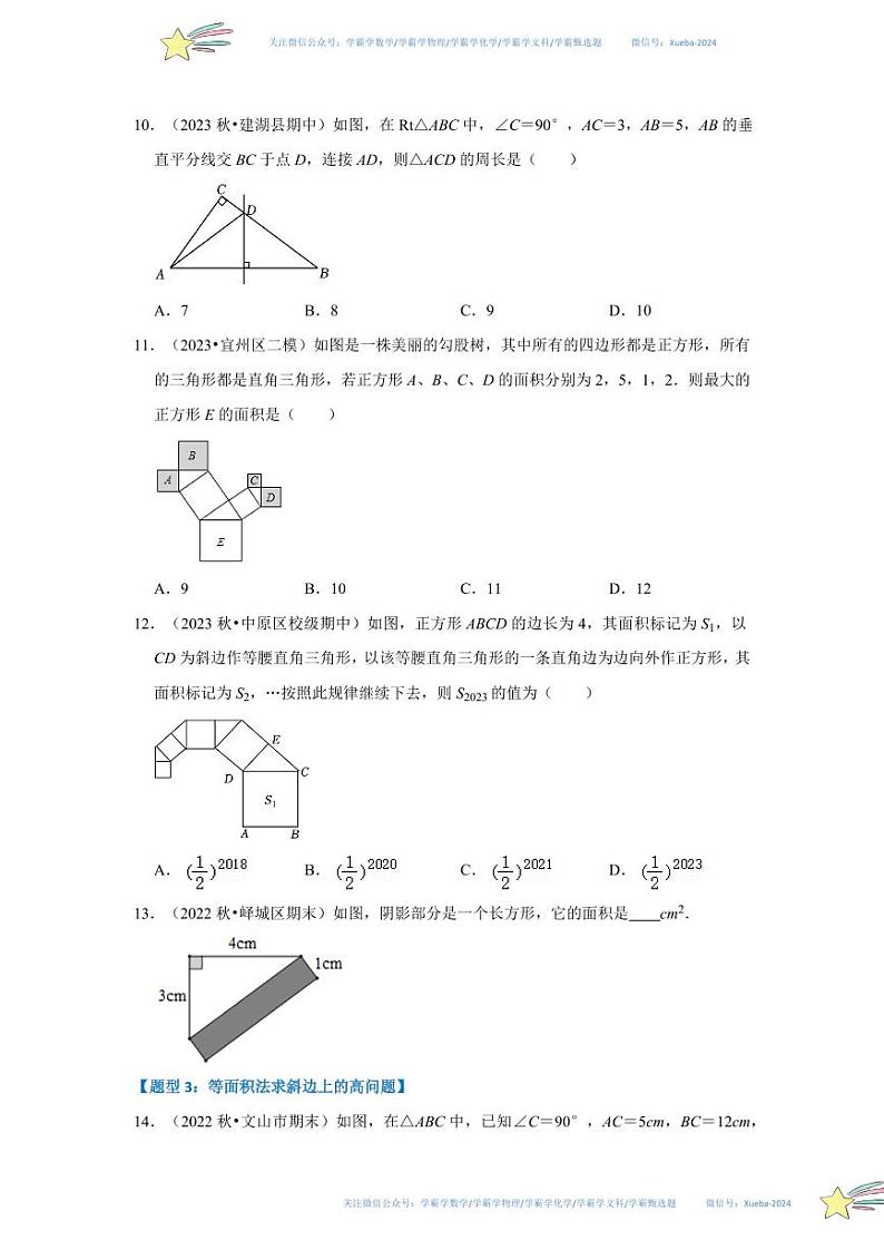 专题03 直角三角形（十大题型）（题型专练）（原卷版）第3页