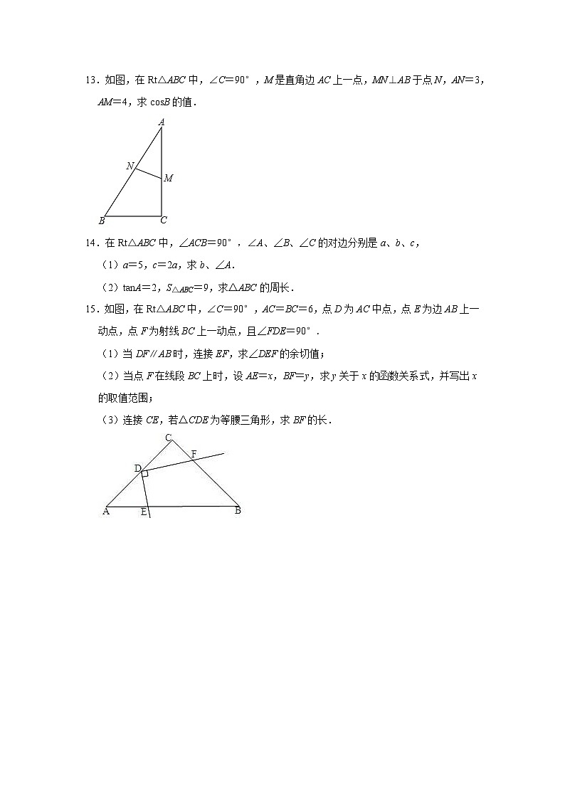 2023—2024学年下学期初中数学北师大新版九年级期中必刷常考题之锐角三角函数第3页