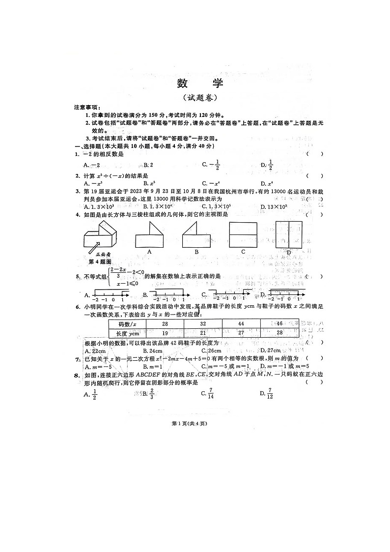 2024年安徽省合肥市肥东县石塘学校中考数学模拟试题01