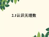 4.1 无理数 教案+课件